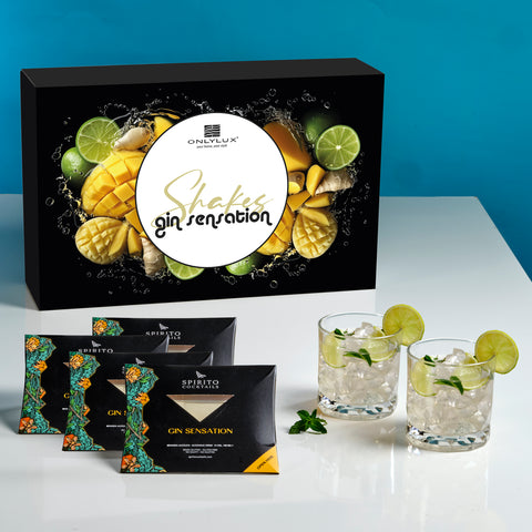 GIN SENSATION SHAKES - CONFEZIONE REGALO